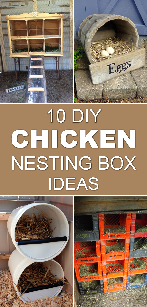 10 DIY Projects For Chicken Nesting Containers 1