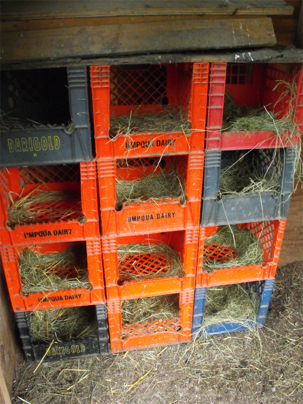 10 DIY Projects For Chicken Nesting Containers 7