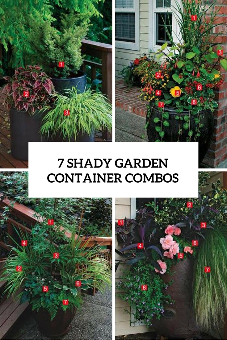 7 shady garden container combos cover