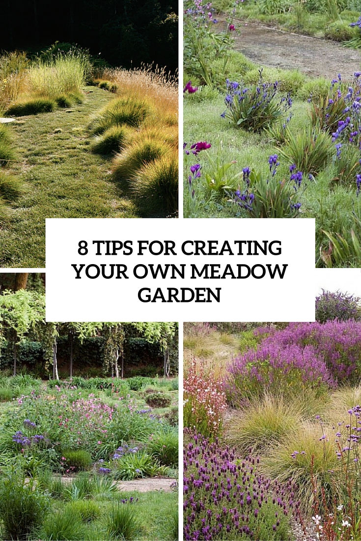 8 tips for creating your own meadow garden cover