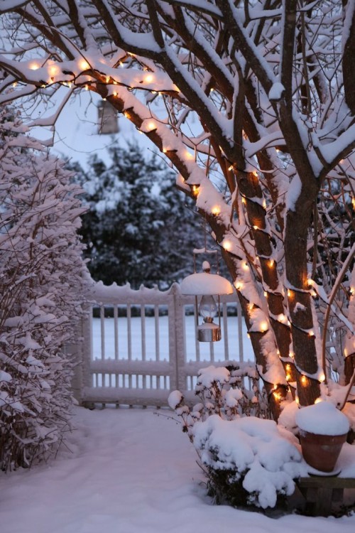 Charming And Beautiful Christmas Garden Decor Ideas