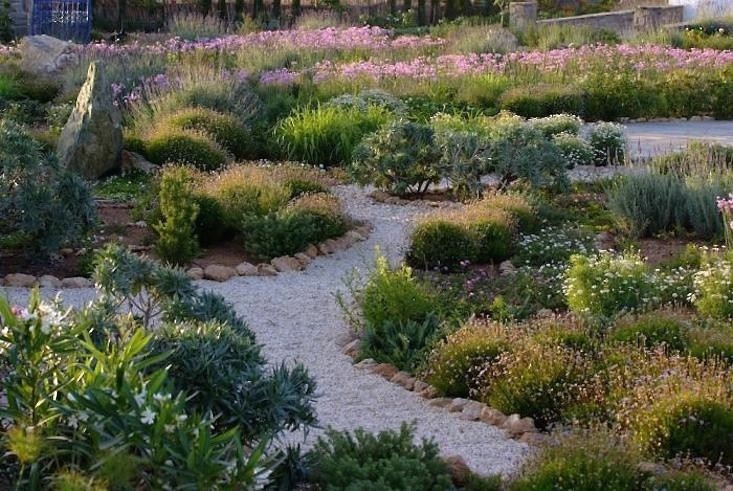 Gorgeous Lavender Gardens Around The World