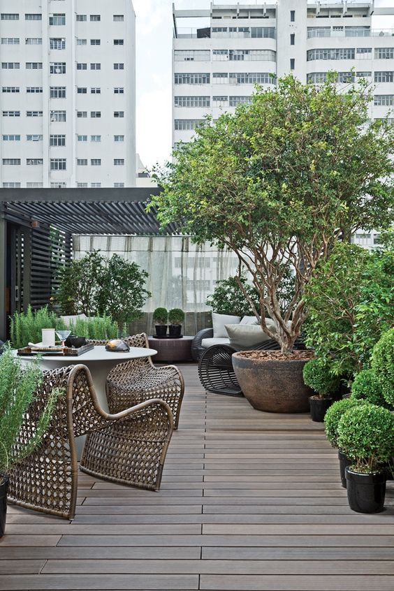 How To Create And Plant A Rooftop Garden