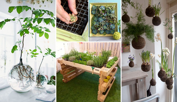 indoor-garden-projects-0