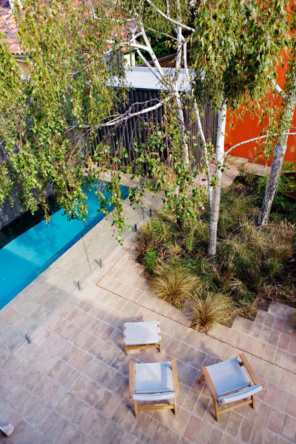 Multifunctional Urban Garden Design With A Swimming Pool
