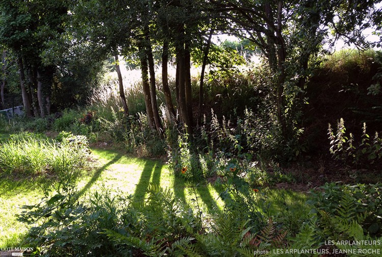 Roche Bobois Garden Looking Like A Real Meadow