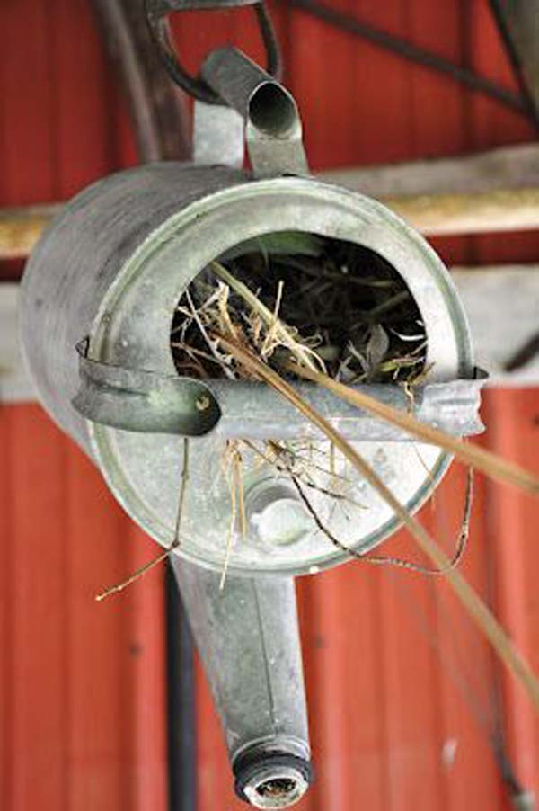 unusual-bird-nests-woohome-15