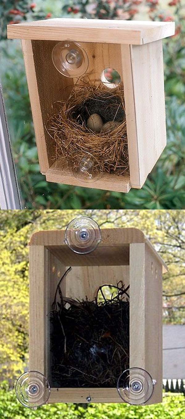 unusual-bird-nests-woohome-6