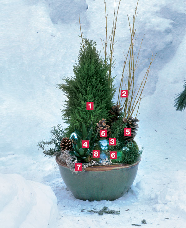 6 Winter Container Combos To Brighten Up Your Outdoors