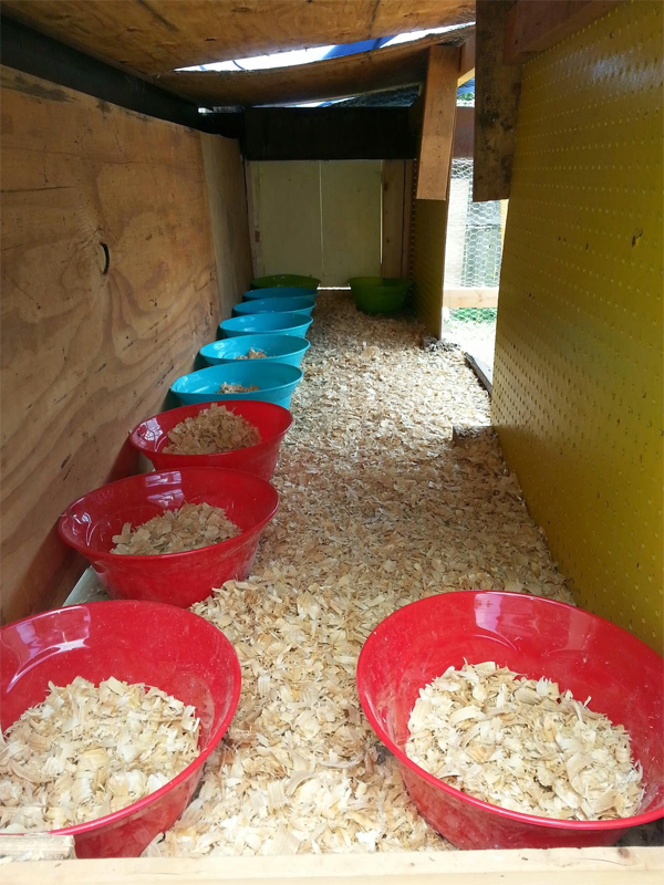 10 DIY Projects For Chicken Nesting Containers 3