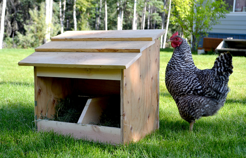 10 DIY Projects For Chicken Nesting Containers 6