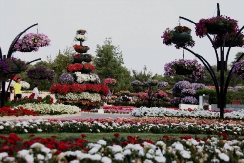 Al Ain Paradise Park: The Most ‘Floral’ Garden In The World