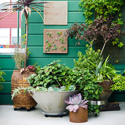 Cool Ideas To Transform Your Side Yard
