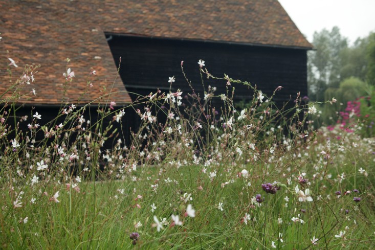 English Countryside Garden Design With Classic Black Barns