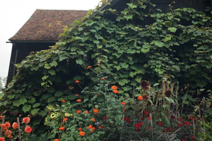 English Countryside Garden Design With Classic Black Barns