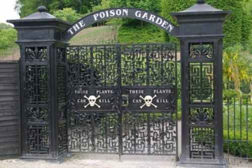 Famous Poison Garden With Lots Of Killer Plants