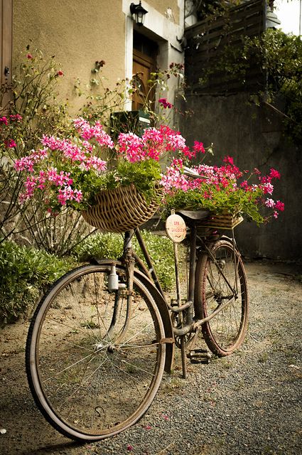 How To Reuse An Old Bike In Your Garden: 25 Décor Ideas