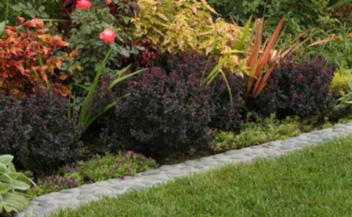 7 Low Maintenance Edging Options For Your Garden Paths