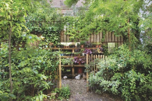 Lush Garden With Hens In The Heart Of Paris