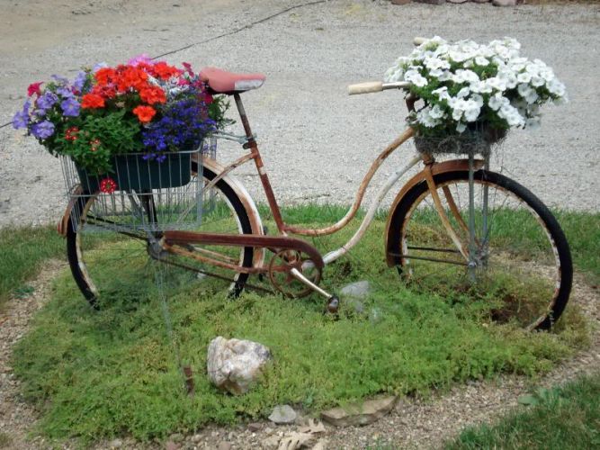 15 Excellent DIY Backyard Decoration & Outside Redecorating Plans 11 Using bicycle for garden