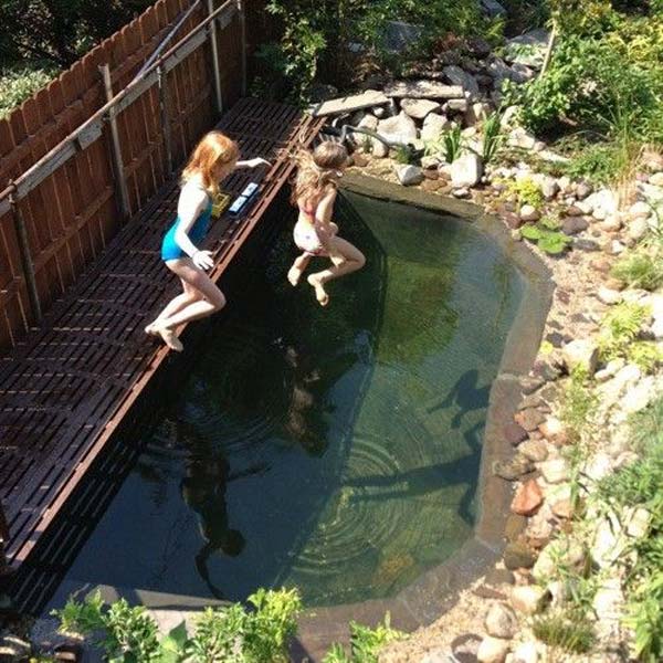 backyard-natural-swimming-pool-18