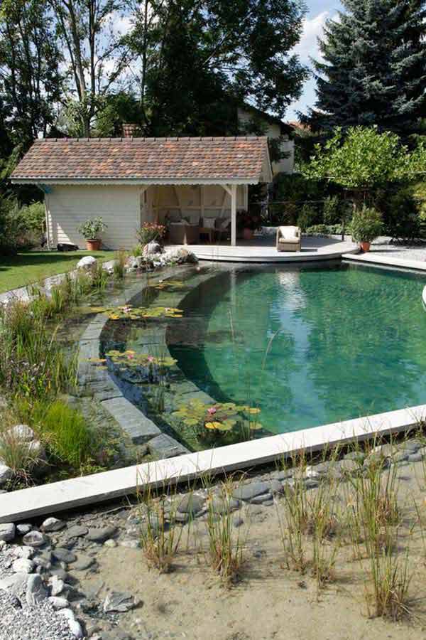 backyard-natural-swimming-pool-21