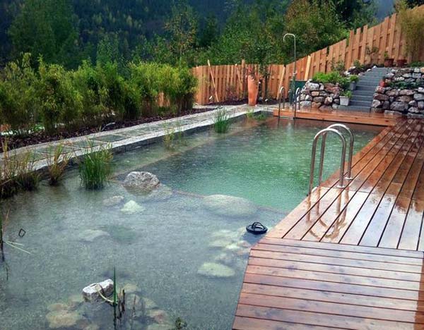 backyard-natural-swimming-pool-22