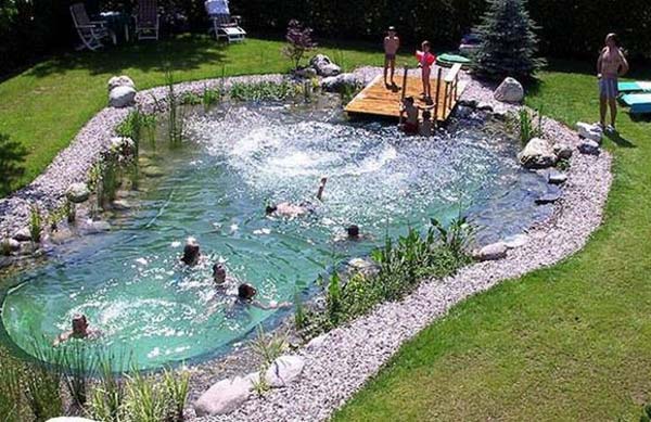 backyard-natural-swimming-pool-4