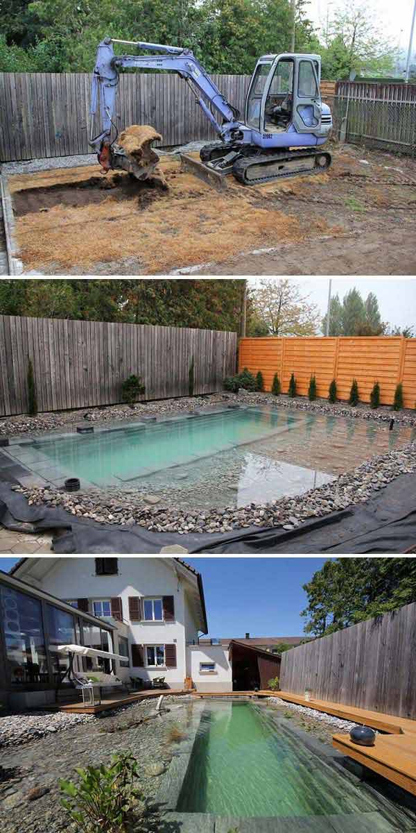 backyard-natural-swimming-pool-6