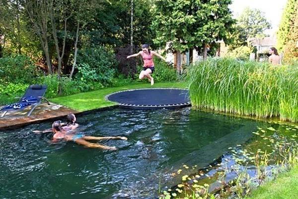 backyard-natural-swimming-pool-7