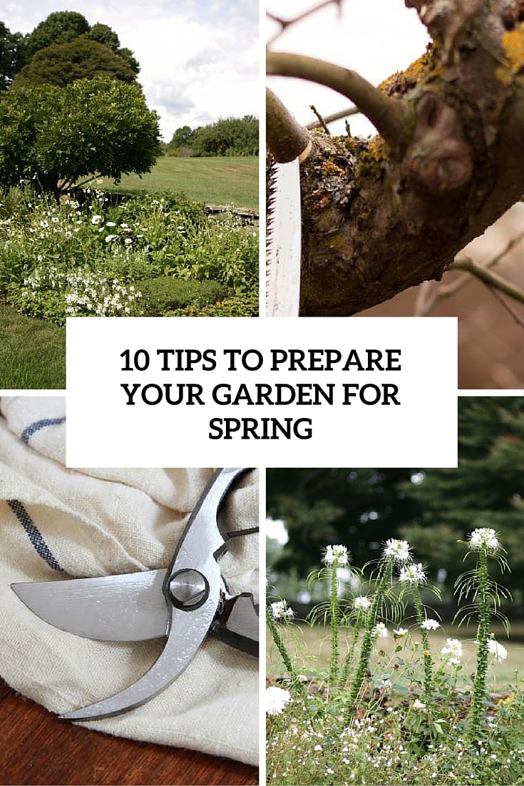 10 tips to prepare your garden for spring cover