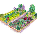 Colorful Vegetable Garden Plan