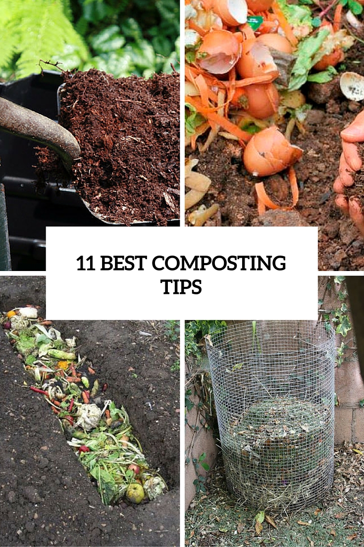 11 best composting tips cover