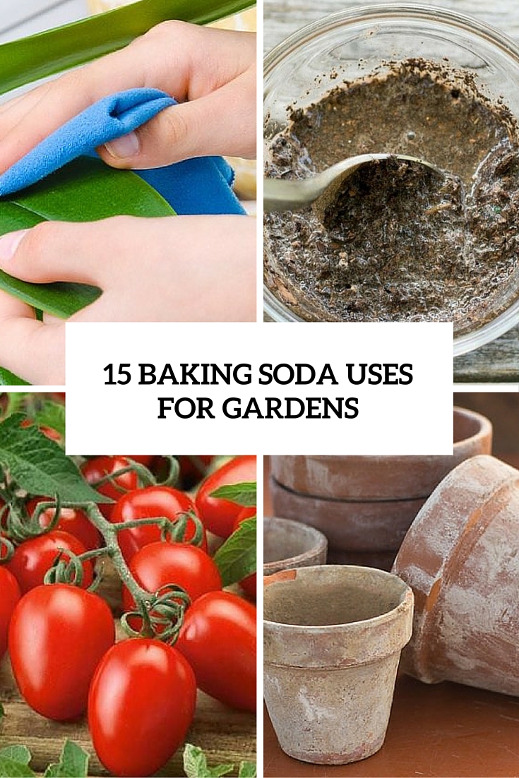 15 diy baking soda uses for gardens cover
