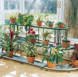 Plant stand with houseplants