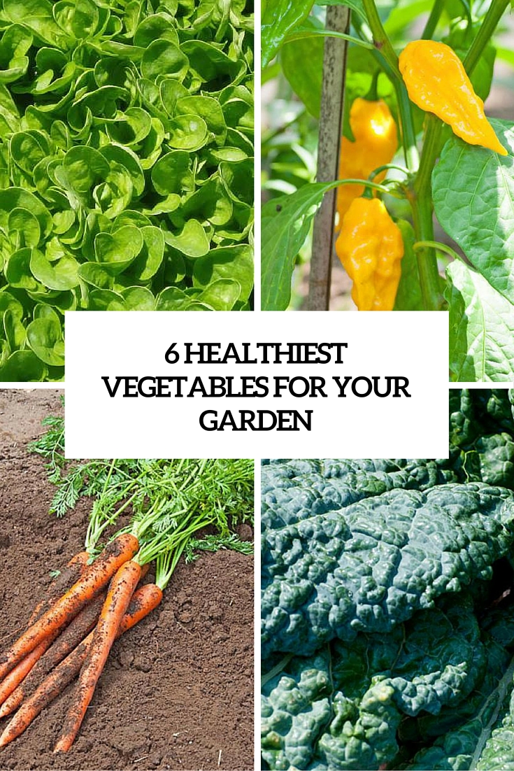 6 healthiest vegetables for your garden cover