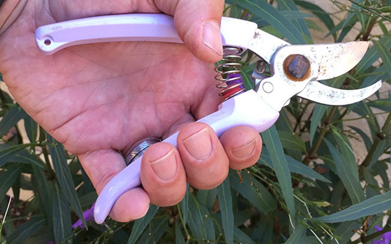 ARS HP-130DX 7-Inch Pruning Shears