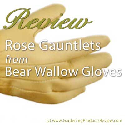 Bear Wallow Rose Gauntlets