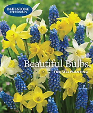 Bluestone Perennials catalog