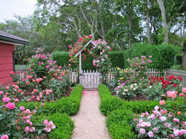 Cottage garden design with roses English style cottage gardens
