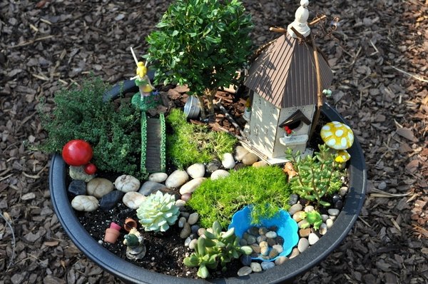 DIY fairy gardens ideas mini garden design