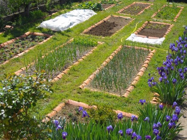 DIY vegetable garden ideas patio garden plans