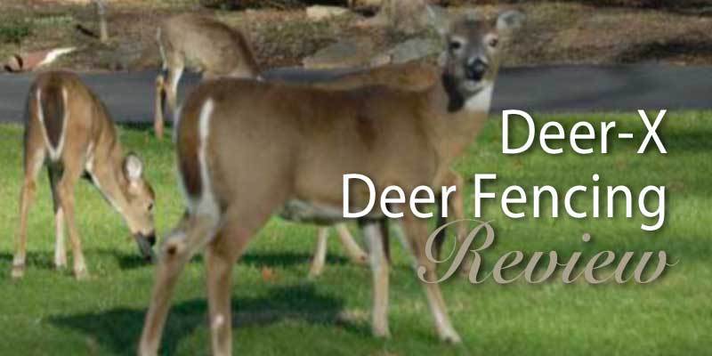 Dalen Deer-X Fencing review