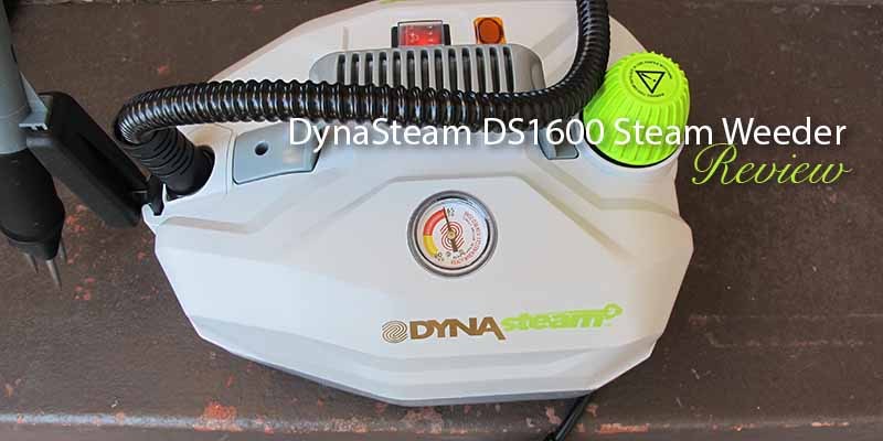 DynaSteam DS1600 Steam Weeder-review