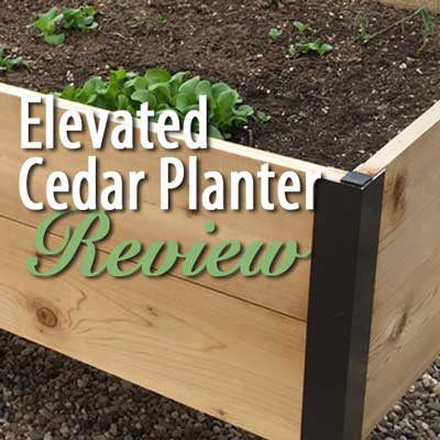 Elevated Cedar Planter Box