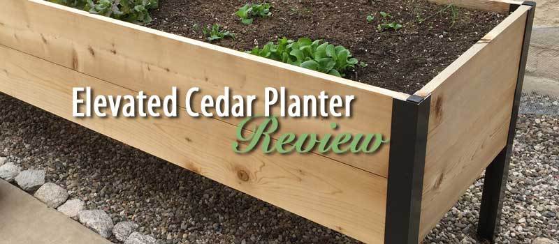 Elevated Cedar Planter Box Review