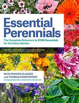 Essential Perennials book review - front cover