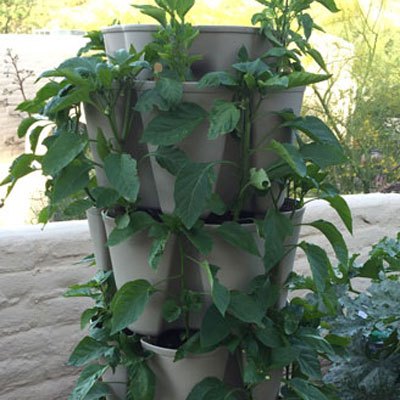 GreenStalk Stackable Planter: Product Review