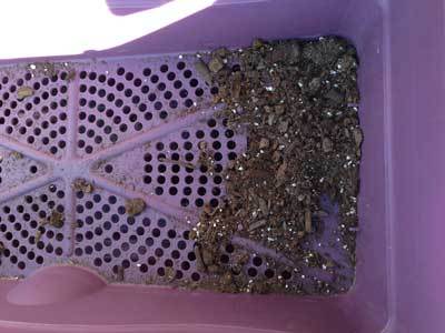 Soil wicking in GrowBox