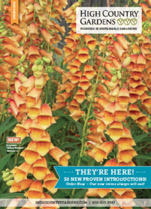 High Country Gardens catalog